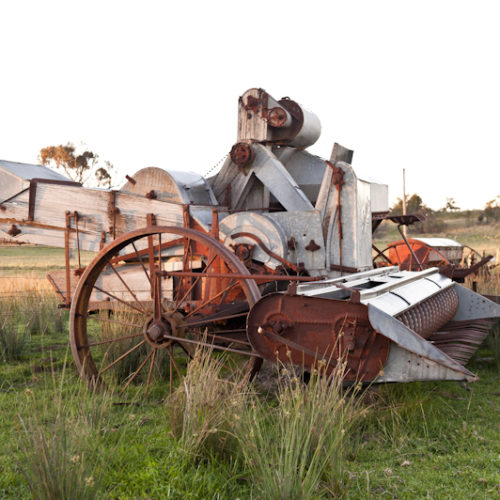 Make Hay While the Sun Shines Free Range Butcher-4454