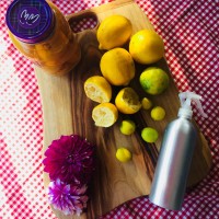 Waste Not Want Not Lemon Peels