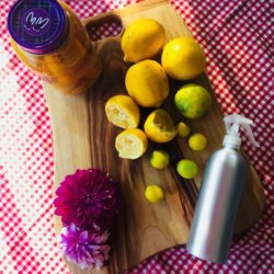 Waste Not Want Not Lemon Peels