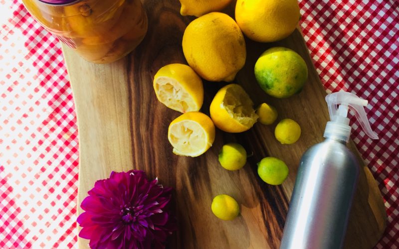 Waste Not Want Not Lemon Peels