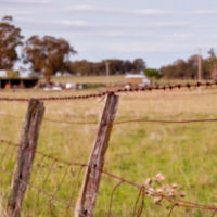 Winter Newsletter 2018 Free-Range-Butcher-4393