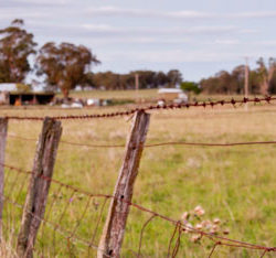 Winter Newsletter 2018 Free-Range-Butcher-4393