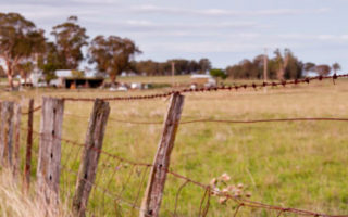 Winter Newsletter 2018 Free-Range-Butcher-4393