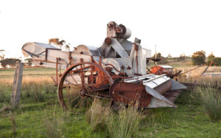 A Drive In The Country Free Range Butcher-4454